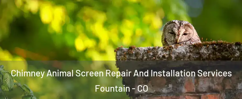  Chimney Animal Screen Repair And Installation Services Fountain - CO