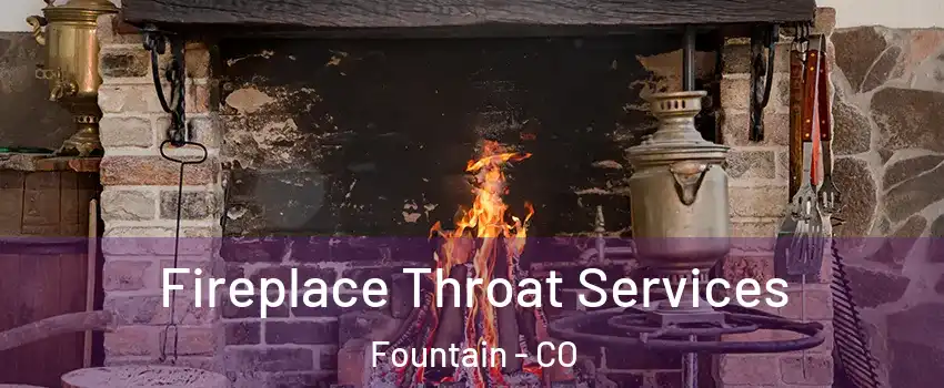  Fireplace Throat Services Fountain - CO