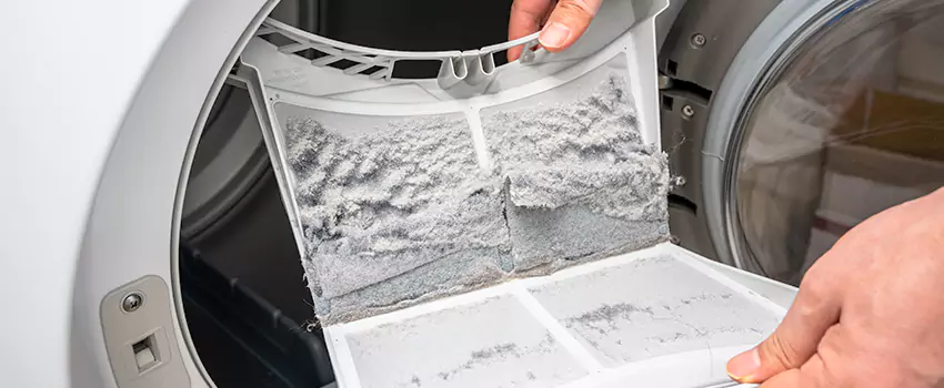 Best Dryer Lint Removal Company in Fountain, Colorado
