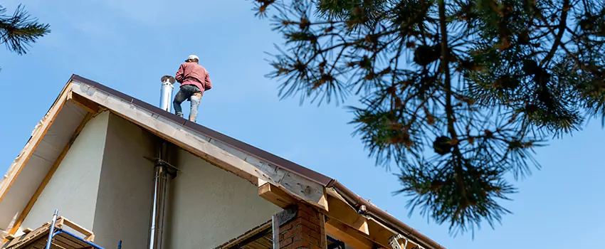 Birds Removal Contractors from Chimney in Fountain, CO