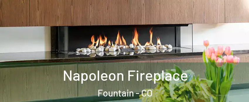  Napoleon Fireplace Fountain - CO